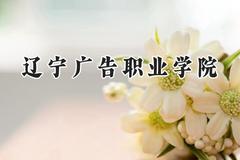 辽宁广告职业学院2024在青海录取分数线是多少？最低202分/最高241分