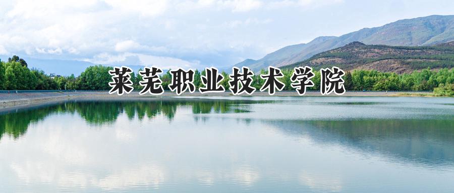 莱芜职业技术学院
