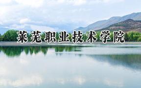 莱芜职业技术学院2024在山东录取分数线是多少？最低325分/最高493分