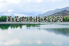 莱芜职业技术学院2024在山东录取分数线是多少？最低325分/最高493分