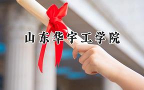 山东华宇工学院2024在山东录取分数线是多少？最低217分/最高493分