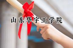 山东华宇工学院2024在山东录取分数线是多少？最低217分/最高493分