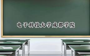电子科技大学成都学院2024在山东录取分数线是多少？最低462分/最高499分