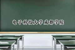 电子科技大学成都学院2024在山东录取分数线是多少？最低462分/最高499分