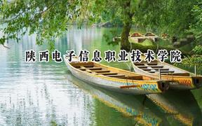 陕西电子信息职业技术学院2024在青海录取分数线是多少？最低256分/最高294分