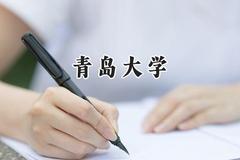 青岛大学2024在福建录取分数线是多少？最低517分/最高595分