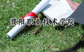 濮阳职业技术学院2024在山东录取分数线是多少？最低326分/最高366分
