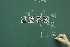 嘉应学院2024在福建录取分数线是多少？最低496分/最高532分