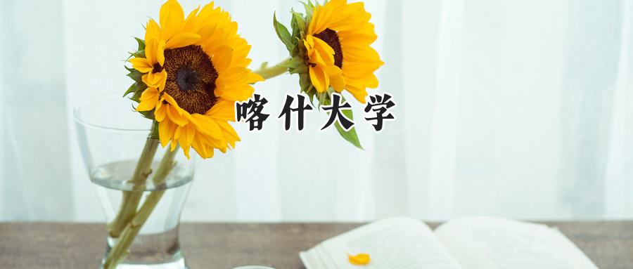 喀什大学