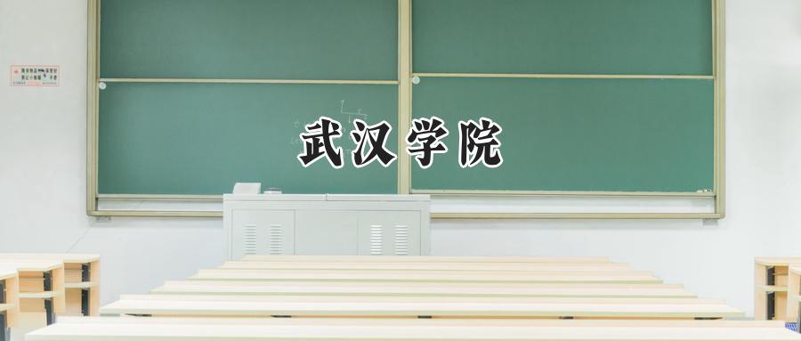武汉学院