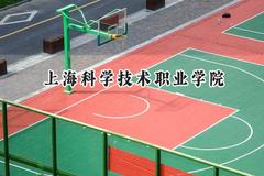上海科学技术职业学院2024在山东录取分数线是多少？最低433分/最高510分