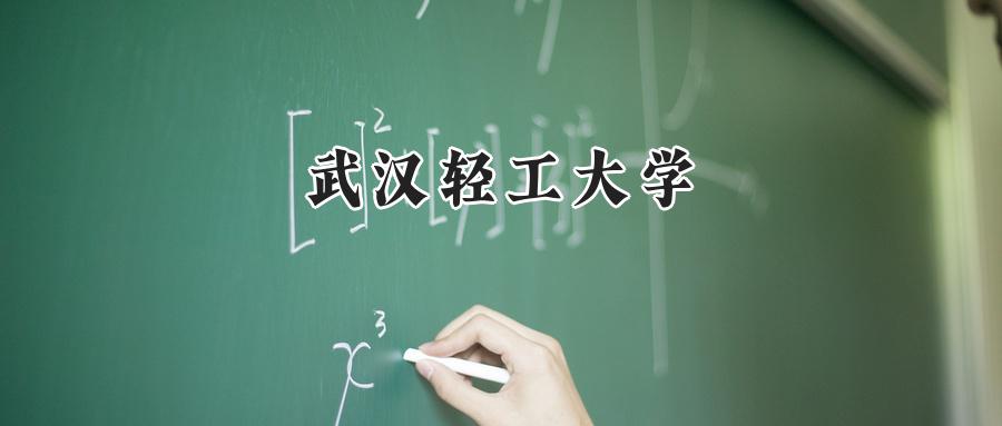 武汉轻工大学