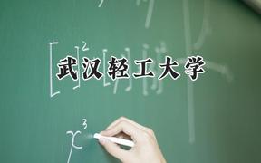 武汉轻工大学2024在福建录取分数线是多少？最低527分/最高577分
