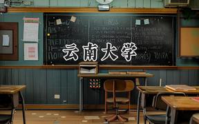 云南大学2024在山东录取分数线是多少？最低550分/最高604分