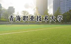 青海职业技术大学2024在青海录取分数线是多少？最低282分/最高411分