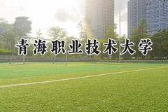 青海职业技术大学2024在青海录取分数线是多少？最低282分/最高411分