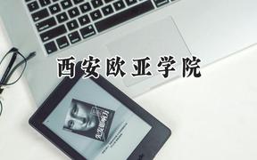 西安欧亚学院2024在青海录取分数线是多少？最低329分/最高392分
