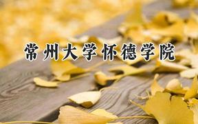 常州大学怀德学院2024在山东录取分数线是多少？最低452分/最高500分