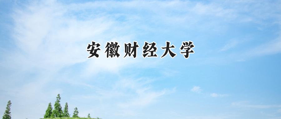 安徽财经大学