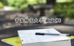 青海师范大学(藏文班)2024在青海录取分数线是多少？最低411分/最高501分