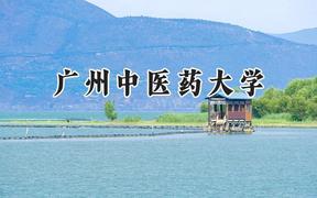 广州中医药大学2024在山东录取分数线是多少？最低559分/最高639分