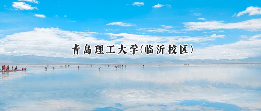青岛理工大学(临沂校区)