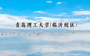 青岛理工大学(临沂校区)2024在山东录取分数线是多少？最低478分/最高538分