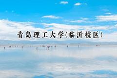 青岛理工大学(临沂校区)2024在山东录取分数线是多少？最低478分/最高538分