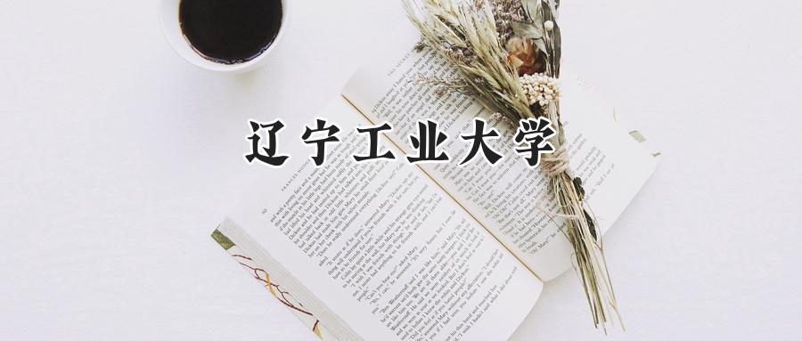 辽宁工业大学