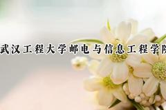 武汉工程大学邮电与信息工程学院2024在山东录取分数线是多少？最低444分/最高455分