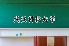 武汉科技大学2024在山东录取分数线是多少？最低538分/最高595分