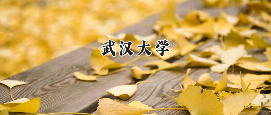 武汉大学