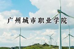 广州城市职业学院2024在青海录取分数线是多少？最低262分/最高354分