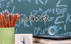 上海大学2024在山东录取分数线是多少？最低577分/最高619分