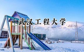 武汉工程大学2024在新疆录取分数线是多少？最低391分/最高476分