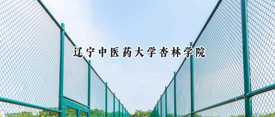 辽宁中医药大学杏林学院