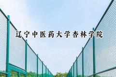 辽宁中医药大学杏林学院2024在青海录取分数线是多少？最低331分/最高402分
