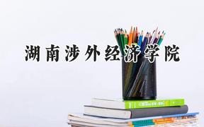 湖南涉外经济学院2024在青海录取分数线是多少？最低322分/最高391分