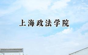 上海政法学院2024在山东录取分数线是多少？最低533分/最高606分
