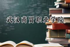 武汉商贸职业学院2024在青海录取分数线是多少？最低245分/最高263分