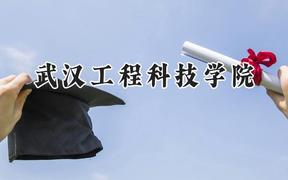 武汉工程科技学院2024在福建录取分数线是多少？最低426分/最高484分