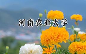 河南农业大学2024在山东录取分数线是多少？最低477分/最高562分