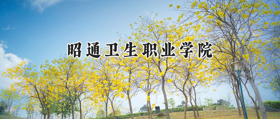 昭通卫生职业学院2024在青海录取分数线是多少？最低246分/最高382分-第1张图片-索考网