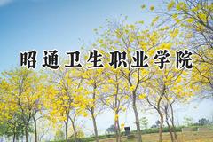 昭通卫生职业学院2024在青海录取分数线是多少？最低246分/最高382分