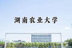 湖南农业大学2024在青海录取分数线是多少？最低374分/最高425分
