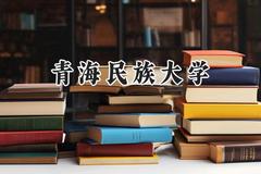 青海民族大学2024在山东录取分数线是多少？最低460分/最高536分