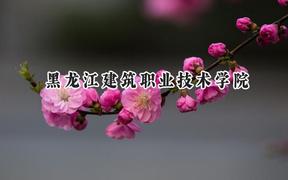 黑龙江建筑职业技术学院2024在山东录取分数线是多少？最低398分/最高413分