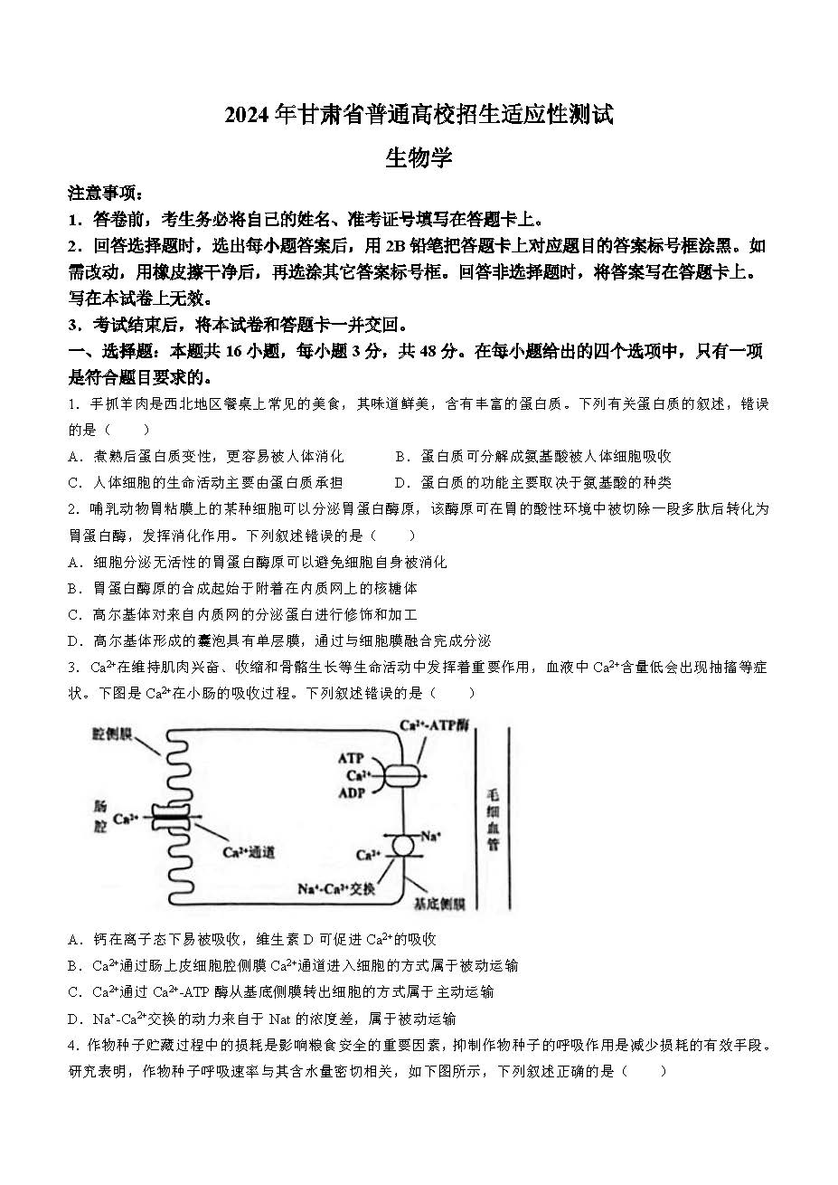 43e924f373a2396871958bc487840aab_aa95f74e-1bee-4a46-af9a-b3d3697f5ea2.jpg