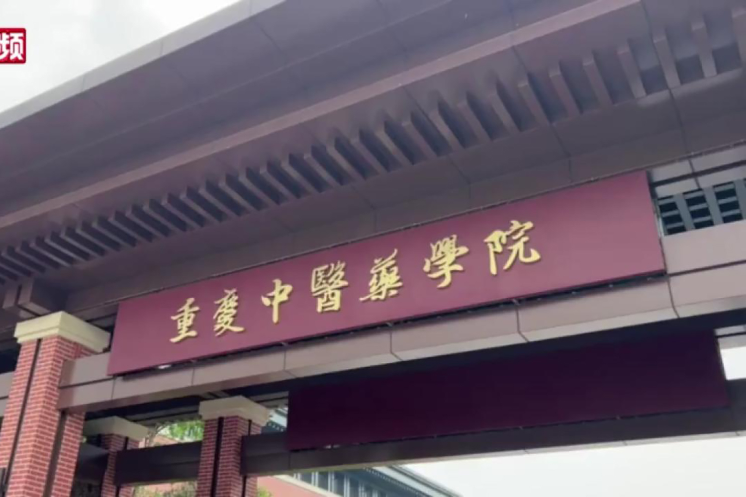 重庆中医药学院