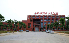 河南179能上什么大学？附2025年可以报考的大学名单